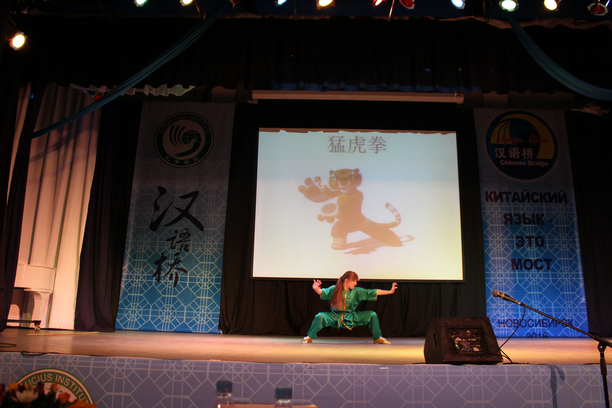 图六:武术表演-猛虎拳.JPG